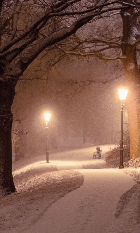 下着雪的冬夜里 两盏路灯点亮弯曲雪白的小路手机壁纸图片 591彩信网